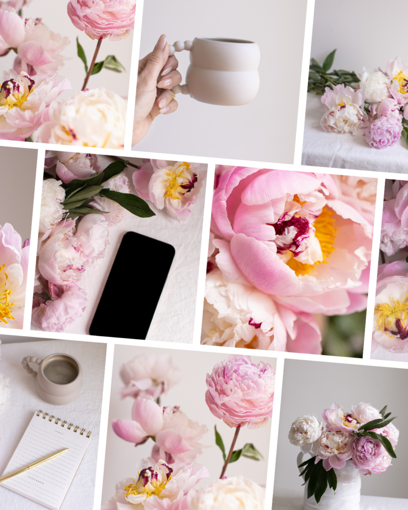 A grid of a variety of pink peony images - it creates a beautiful floral mood board