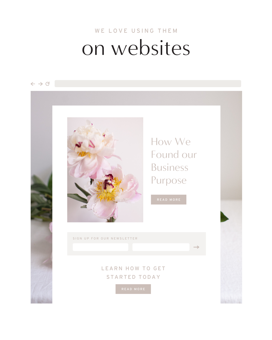 A graphic showing how to use our stock photos on your website. The photo we used is a close up of pink peony flowers.